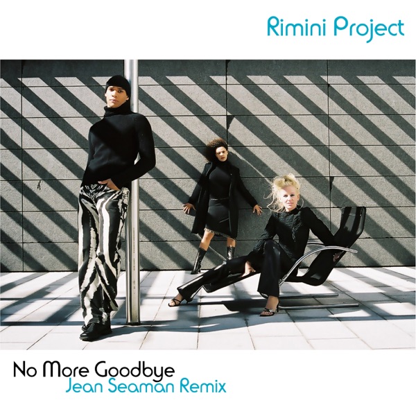 No More Goodbye (Jean Seaman Remix) - Single