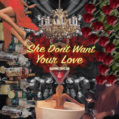 She Don't Want Your Love - Single