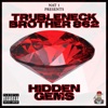 Hidden Gems 360 Maintain - Single