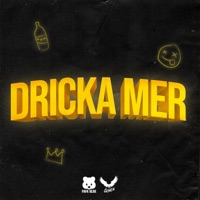 Dricka Mer - Single - Papa Bear & Ornen