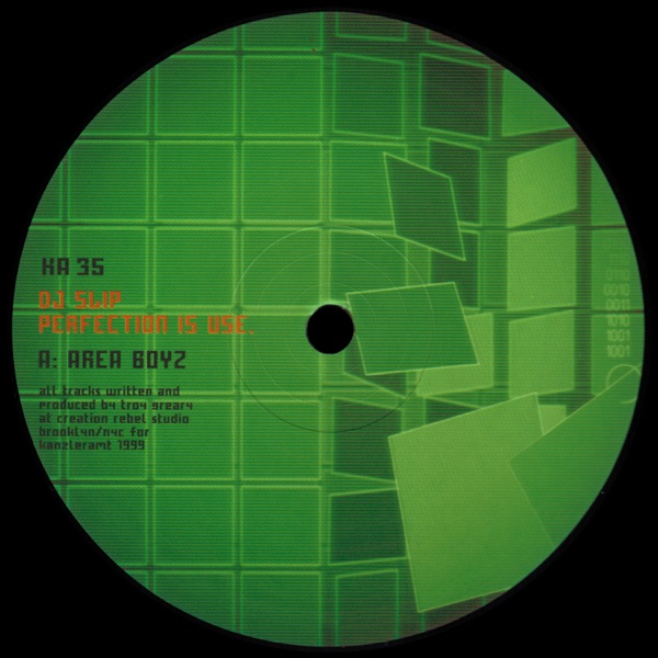 Perfection Is Use - Single