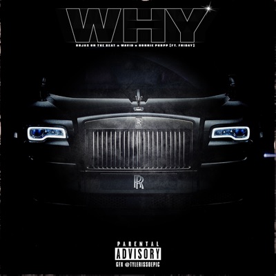 Why (feat. Friday) - Single