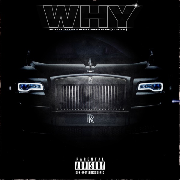 Why (feat. Friday) - Single