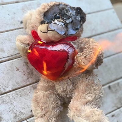 Lonely bear - Single