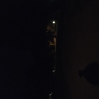 Don't Stop Me - Single - Sofftez