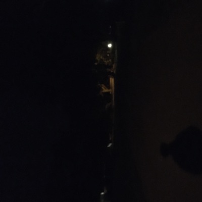 Don't Stop Me - Single