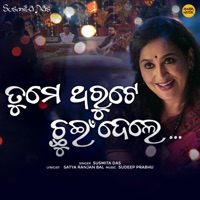 Tume Tharute Chhuin Dele - Single - Susmita Das