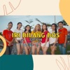 Sheylin - Iri Bilang Bos