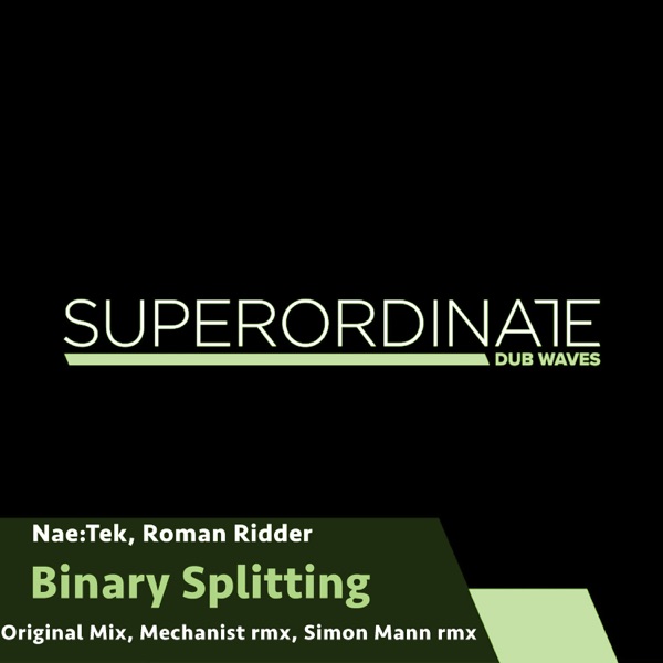 Binary Splitting - Single