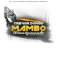 Mambo Wemadzimambo (feat. Kudzi Nyakudya) - Single - Trevor Dongo