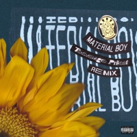 Material Boy (Teenage Priest Remix) - Single - Sir Sly