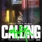 Calling (Cristoph Remix) artwork