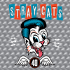 Stray Cats - 40 artwork