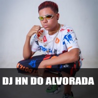 Mega Alvin e os Esquilos (feat. Gordão do Pc & Jota v da Inestan) - Single - Dj Hn do Alvorada