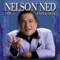 Nelson Ned - Happy Birthday My Darling (Feliz Cumpleanos)