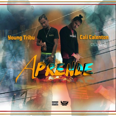Aprende (feat. Young Tribu) - Single