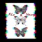 Butterfly (feat. Shauny) - P-Lo lyrics
