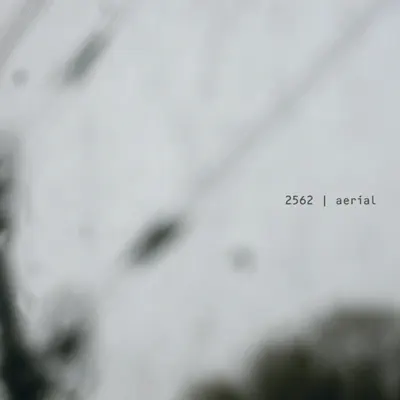 Ascolta 'Aerial' di 2562