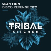 Disco Revenge 2021 (Radio Edit) artwork