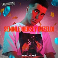 Seninle Herşey Guzeldi - Single - Emil Rosé