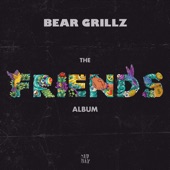 Friends: The Album artwork