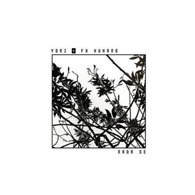 Nada Se (feat. Yorz) - Single