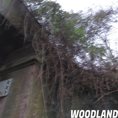 Woodland - Single