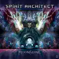 Tunnelvision (Spirit Architect Remix)