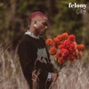 Felony - Single