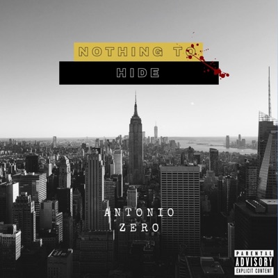 Nothing To Hide - Single