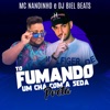 Tô Fumando um Chá by MC Nandinho, DJ Biel Beats iTunes Track 1