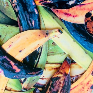 Plantains - Single