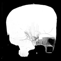 Two Live Sets - Sam Pluta & Peter Evans