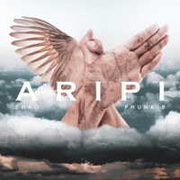 Aripi (feat. Phunk B) - Single - Zhao