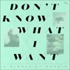 Don't Know What I Want - Single