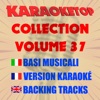 Karaoketop Collection, Vol. 37 (Karaoke Versions)