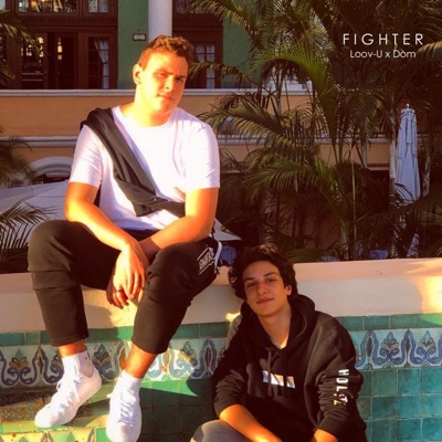 Fighter (feat. Dom) - Single