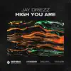 Stream & download High You Are - Single