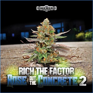Rose Out  The Concrete 2