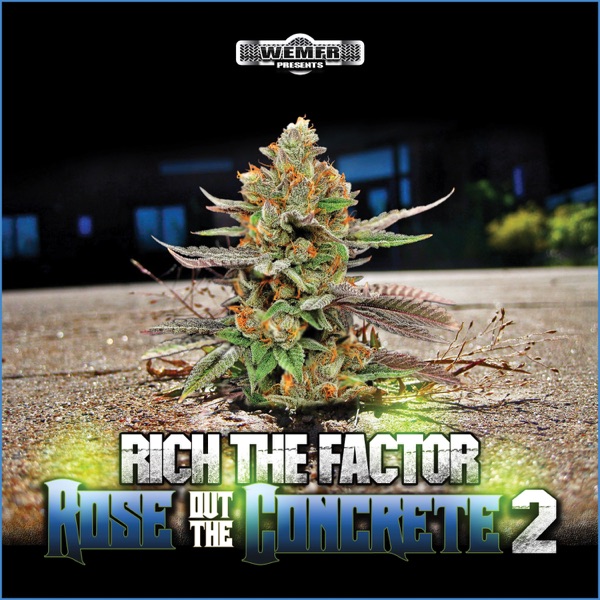 Rose Out  The Concrete 2