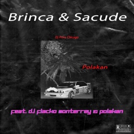 Brinca & Sacude (feat. Dj Flacko Monterrey & Polakan) Dj Prins Chicago