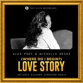 (Where Do I Begin?) Love Story [feat. Michelle Weeks] artwork