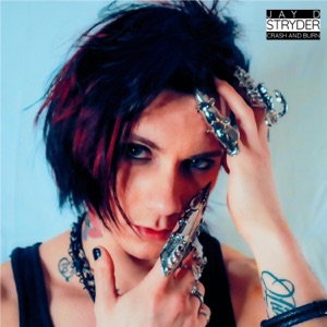 Crash and Burn - Single