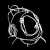 Morir Antes de Morir - Single