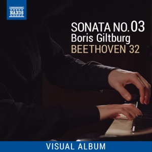 Beethoven 32: Sonata No. 3 (Visual Album)