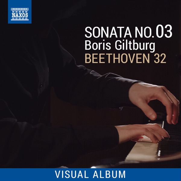 Beethoven 32: Sonata No. 3 (Visual Album)