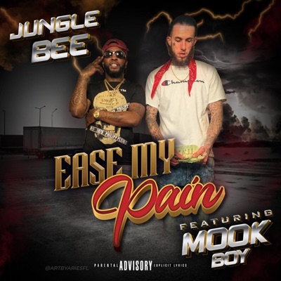 Jungle Bee (feat. Mook Boy) - Single