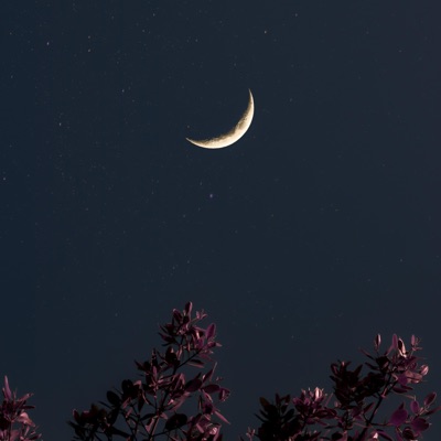 Better Days - Single