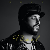 Pixel - Single - Shay