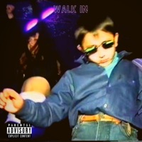 Walk In - Single - T Lee